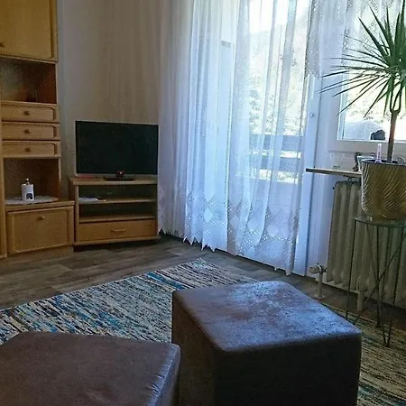 Apartamento Auszeit-mit-pool-studio-35-qm-sehr-zentral-gelegen Todtmoos